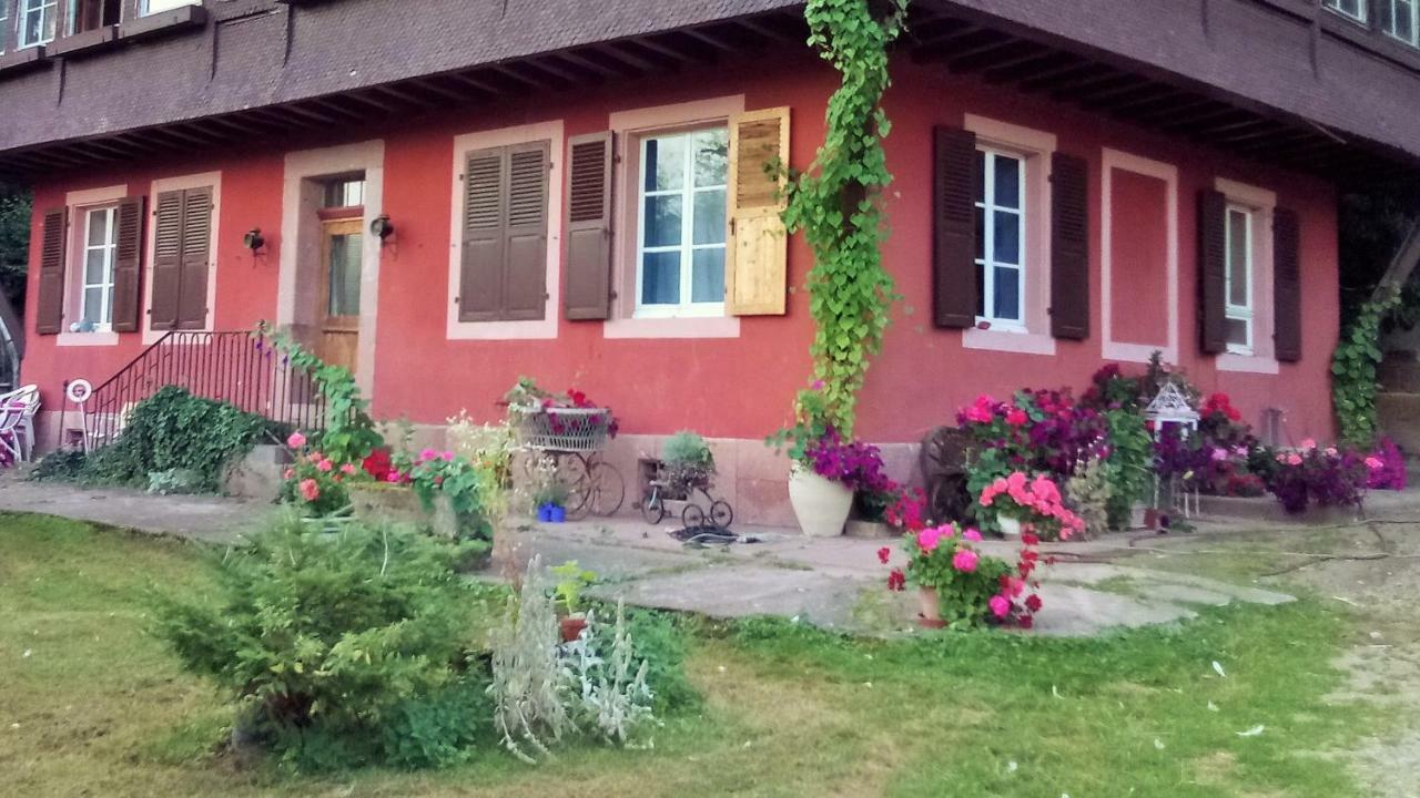 Gite "Cadichon" Munster  Kültér fotó