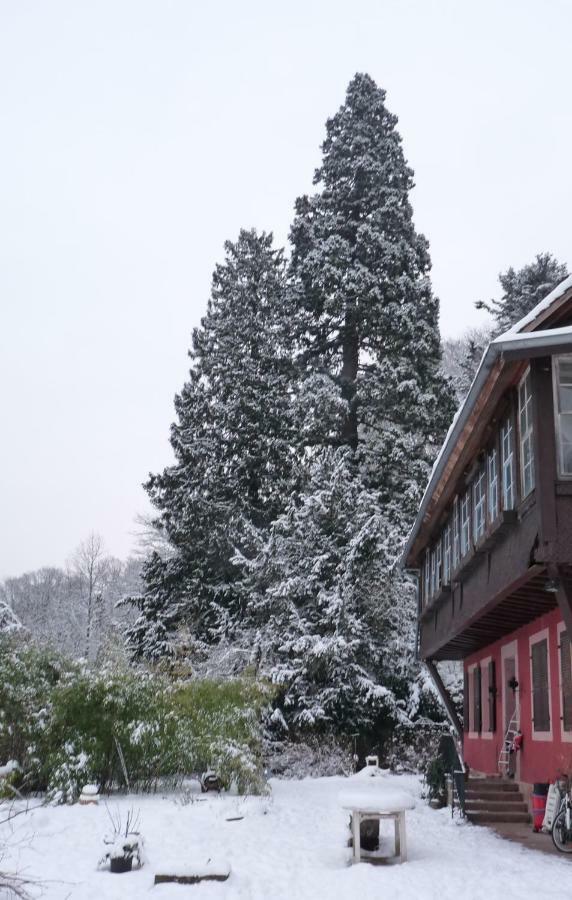 Gite "Cadichon" Munster  Kültér fotó