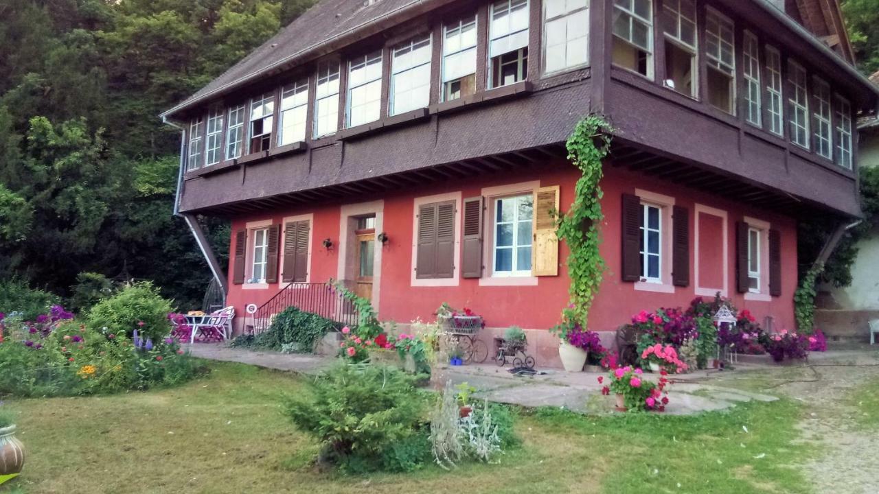 Gite "Cadichon" Munster  Kültér fotó