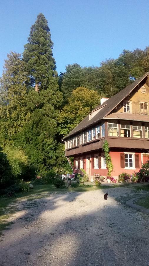 Gite "Cadichon" Munster  Kültér fotó